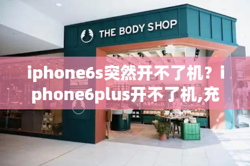 iphone6s突然开不了机？iphone6plus开不了机,充电也没反应-第1张图片-星选测评