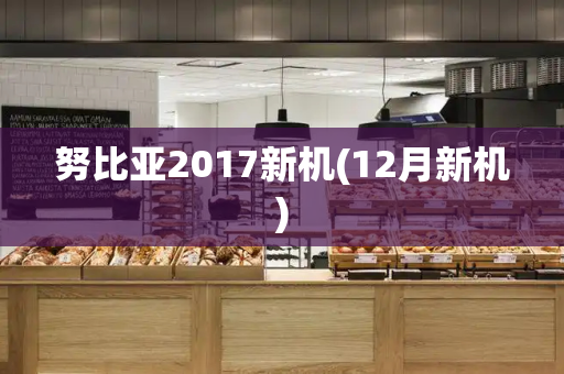 努比亚2017新机(12月新机)
