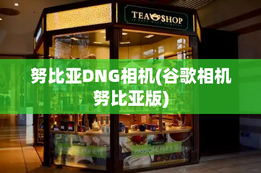 努比亚DNG相机(谷歌相机努比亚版)