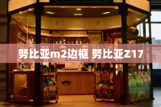 努比亚m2边框 努比亚Z17-第1张图片-星选测评