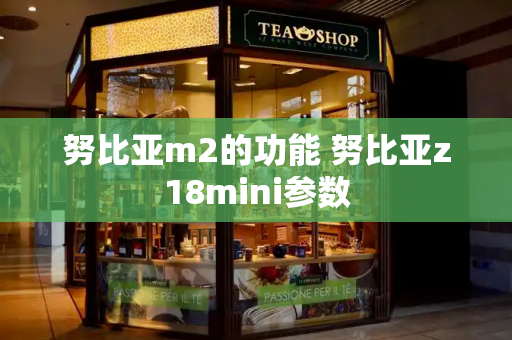 努比亚m2的功能 努比亚z18mini参数-第1张图片-星选测评