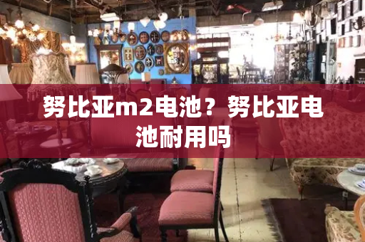 努比亚m2电池？努比亚电池耐用吗-第1张图片-星选测评
