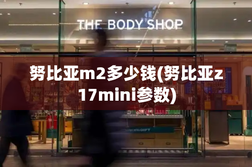 努比亚m2多少钱(努比亚z17mini参数)