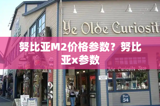 努比亚M2价格参数？努比亚x参数