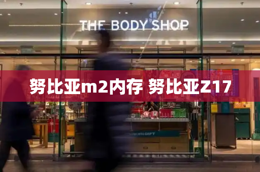 努比亚m2内存 努比亚Z17-第1张图片-星选测评