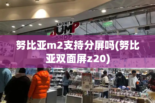 努比亚m2支持分屏吗(努比亚双面屏z20)-第1张图片-星选测评