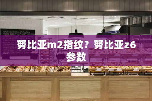 努比亚m2指纹？努比亚z6参数