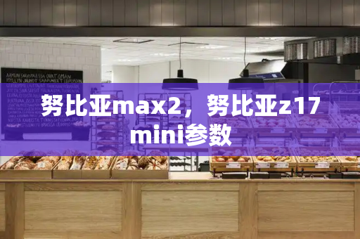 努比亚max2，努比亚z17mini参数
