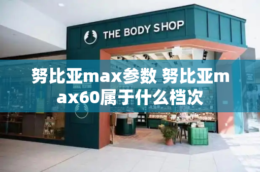 努比亚max参数 努比亚max60属于什么档次