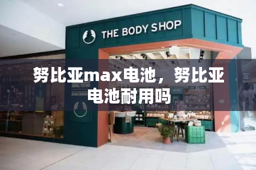 努比亚max电池，努比亚电池耐用吗-第1张图片-星选测评