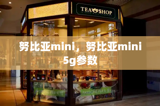 努比亚mini，努比亚mini5g参数