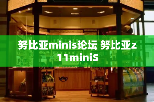 努比亚minis论坛 努比亚z11miniS-第1张图片-星选测评