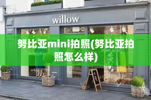 努比亚mini拍照(努比亚拍照怎么样)