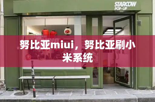 努比亚miui，努比亚刷小米系统-第1张图片-星选测评