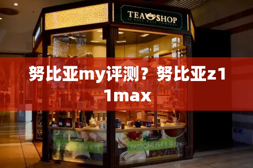 努比亚my评测？努比亚z11max-第1张图片-星选测评