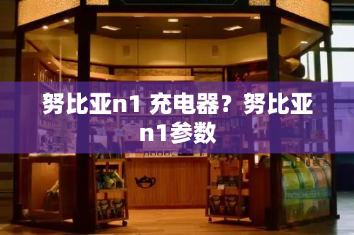努比亚n1 充电器？努比亚n1参数