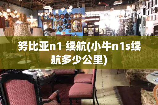 努比亚n1 续航(小牛n1s续航多少公里)