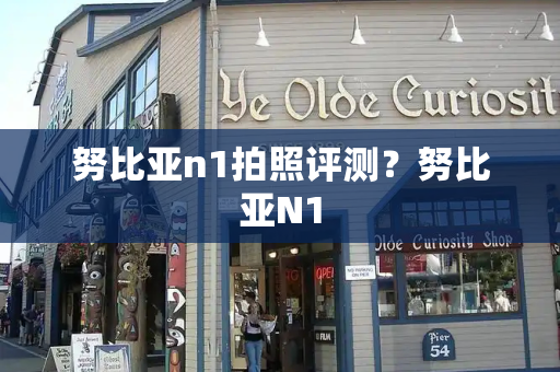 努比亚n1拍照评测？努比亚N1