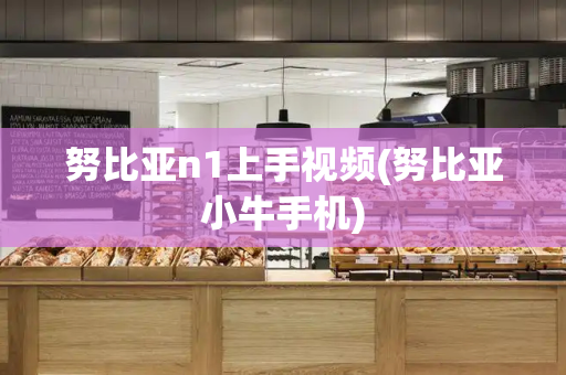 努比亚n1上手视频(努比亚小牛手机)