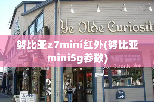 努比亚z7mini红外(努比亚mini5g参数)-第1张图片-星选测评