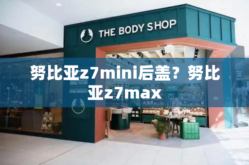 努比亚z7mini后盖？努比亚z7max