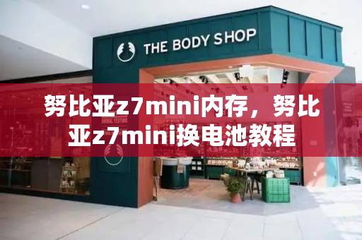 努比亚z7mini内存，努比亚z7mini换电池教程