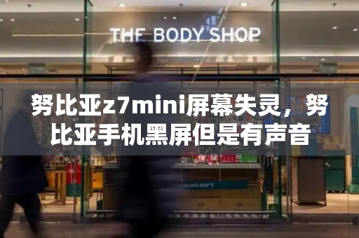 努比亚z7mini屏幕失灵，努比亚手机黑屏但是有声音-第1张图片-星选测评