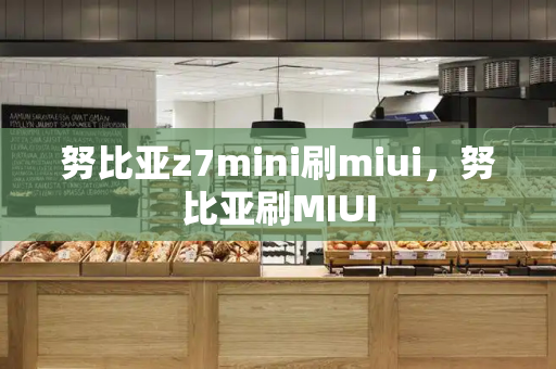 努比亚z7mini刷miui，努比亚刷MIUI-第1张图片-星选测评