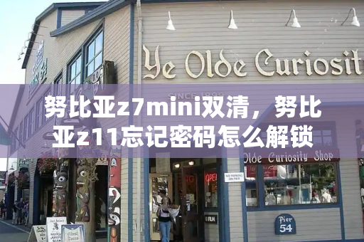 努比亚z7mini双清，努比亚z11忘记密码怎么解锁