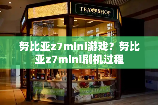努比亚z7mini游戏？努比亚z7mini刷机过程