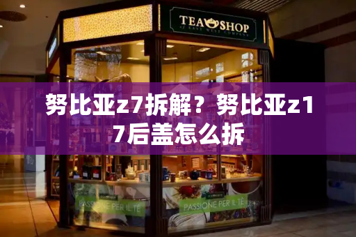 努比亚z7拆解？努比亚z17后盖怎么拆