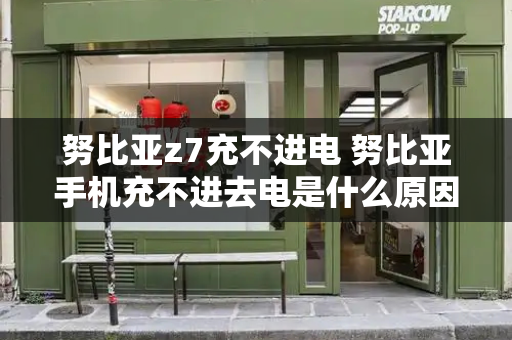 努比亚z7充不进电 努比亚手机充不进去电是什么原因-第1张图片-星选测评