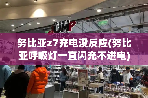 努比亚z7充电没反应(努比亚呼吸灯一直闪充不进电)-第1张图片-星选测评