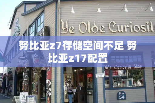 努比亚z7存储空间不足 努比亚z17配置