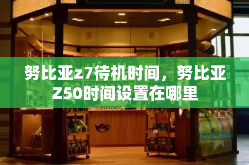 努比亚z7待机时间，努比亚Z50时间设置在哪里