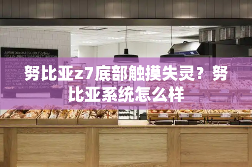 努比亚z7底部触摸失灵？努比亚系统怎么样-第1张图片-星选测评