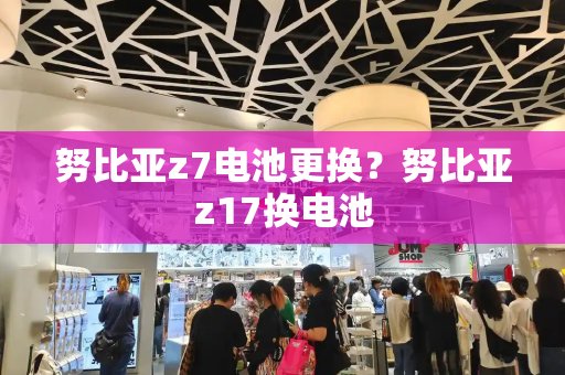 努比亚z7电池更换？努比亚z17换电池