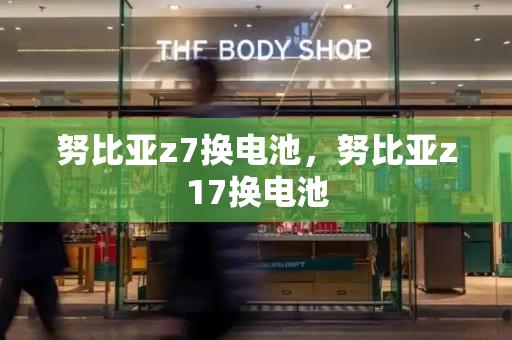 努比亚z7换电池，努比亚z17换电池