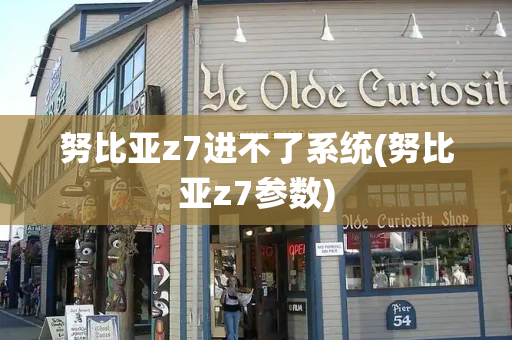 努比亚z7进不了系统(努比亚z7参数)-第1张图片-星选测评