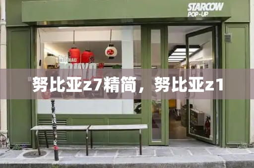 努比亚z7精简，努比亚z1