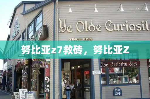 努比亚z7救砖，努比亚Z-第1张图片-星选测评