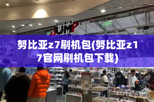 努比亚z7刷机包(努比亚z17官网刷机包下载)-第1张图片-星选测评