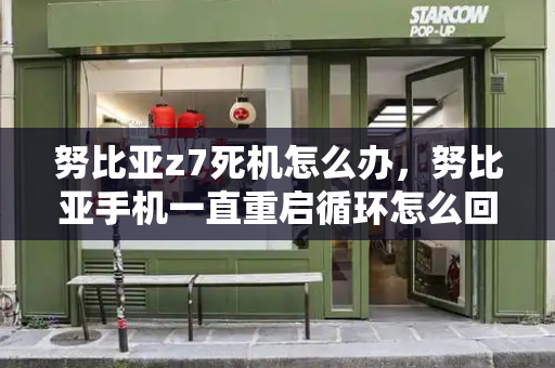 努比亚z7死机怎么办，努比亚手机一直重启循环怎么回事