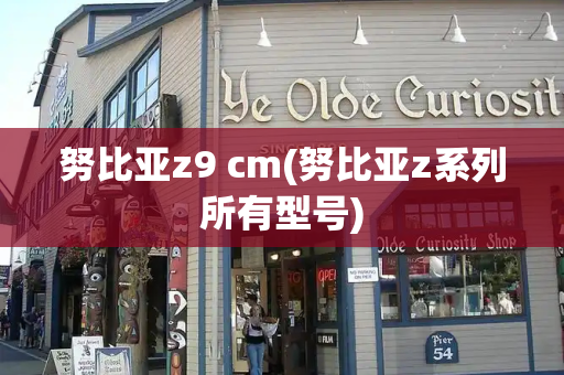 努比亚z9 cm(努比亚z系列所有型号)-第1张图片-星选测评