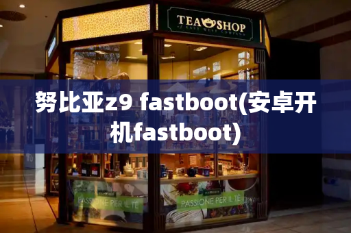 努比亚z9 fastboot(安卓开机fastboot)-第1张图片-星选测评