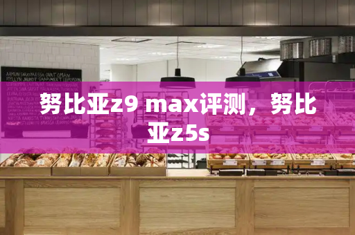努比亚z9 max评测，努比亚z5s