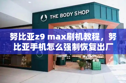 努比亚z9 max刷机教程，努比亚手机怎么强制恢复出厂设置