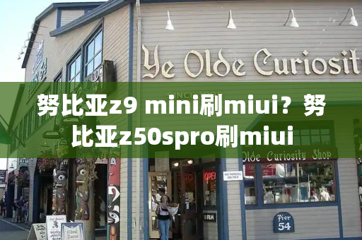 努比亚z9 mini刷miui？努比亚z50spro刷miui-第1张图片-星选测评