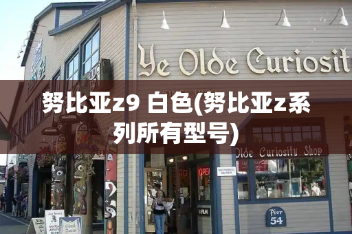 努比亚z9 白色(努比亚z系列所有型号)