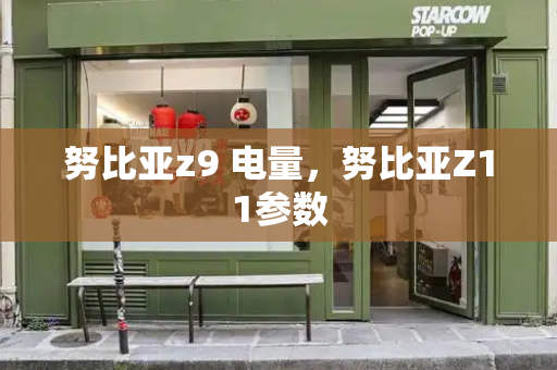努比亚z9 电量，努比亚Z11参数-第1张图片-星选测评